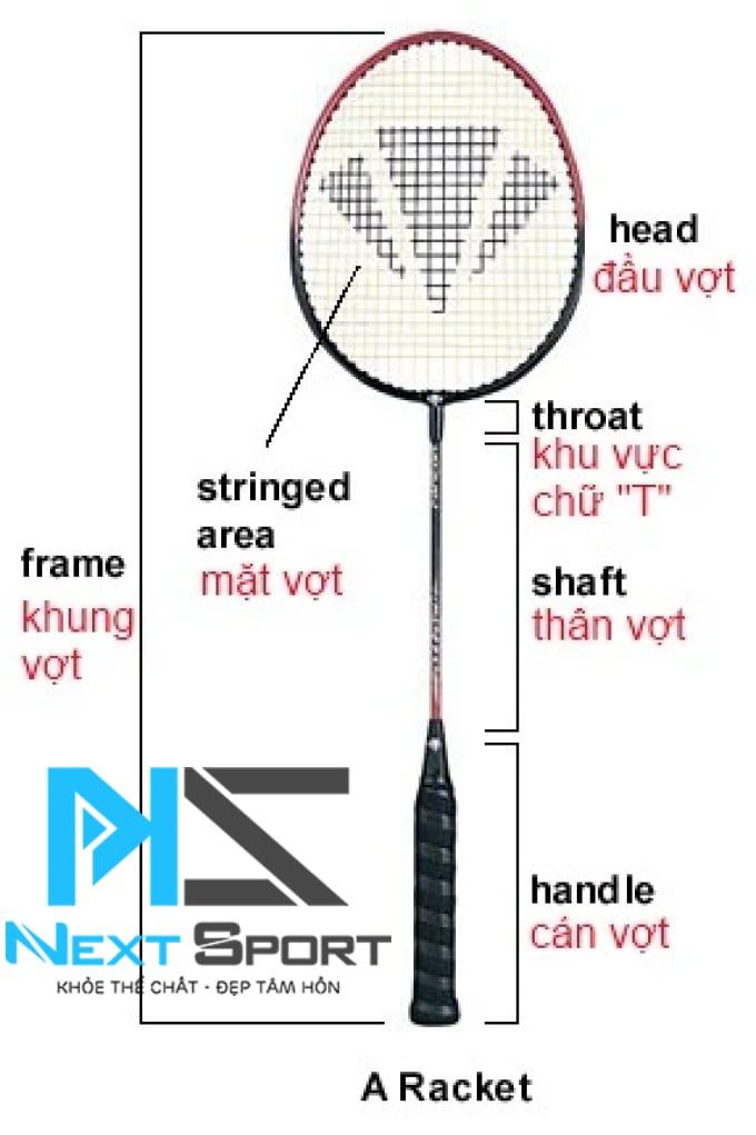 Cách chọn vợt cầu lông tiêu chuẩn phù hợp