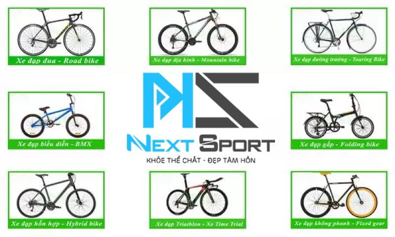 Phân loại các dòng xe đạp thể thao phổ biến trên thị trường
